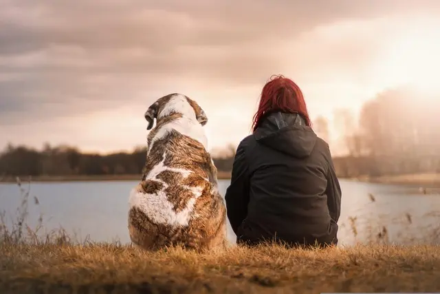 Guía de Compra: Mejores Cojines de Meditación