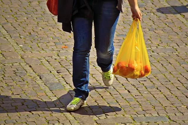 Erreurs à éviter lors de l'achat de sacs à main