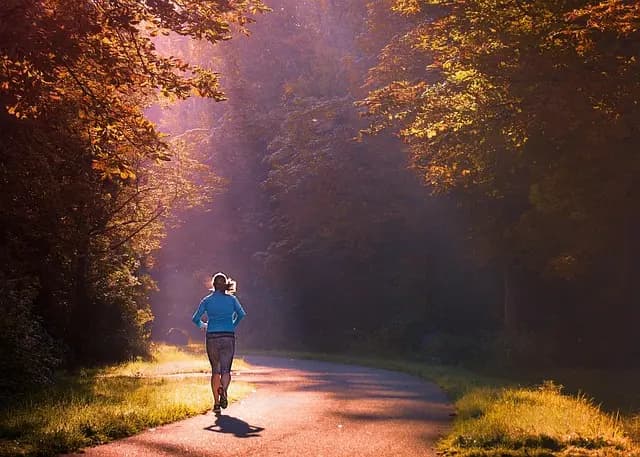 Ultimate Guide to Triathlon Training Plans