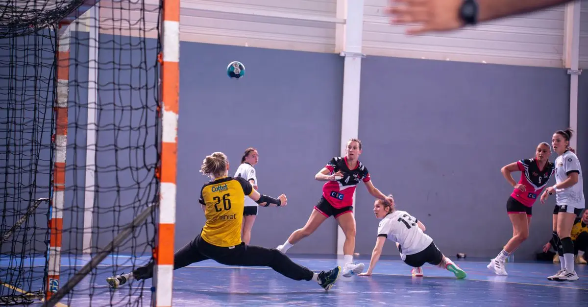 Guide d'achat : Enseignement du handball aux enfants