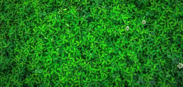 Best Eco-Friendly Insulation Materials