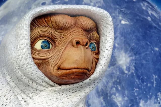 Évitez les erreurs de débutant en pêche